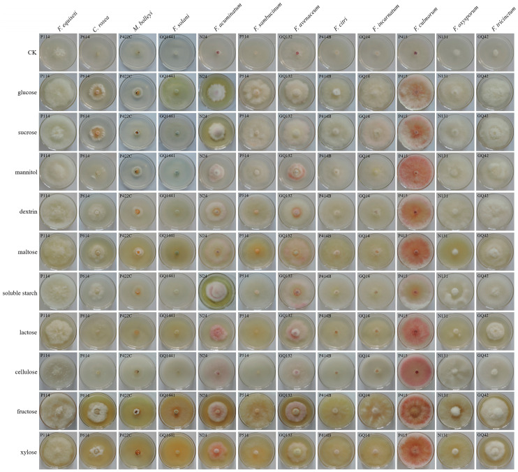 Figure 10