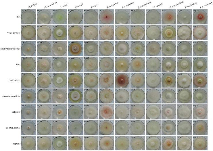 Figure 11