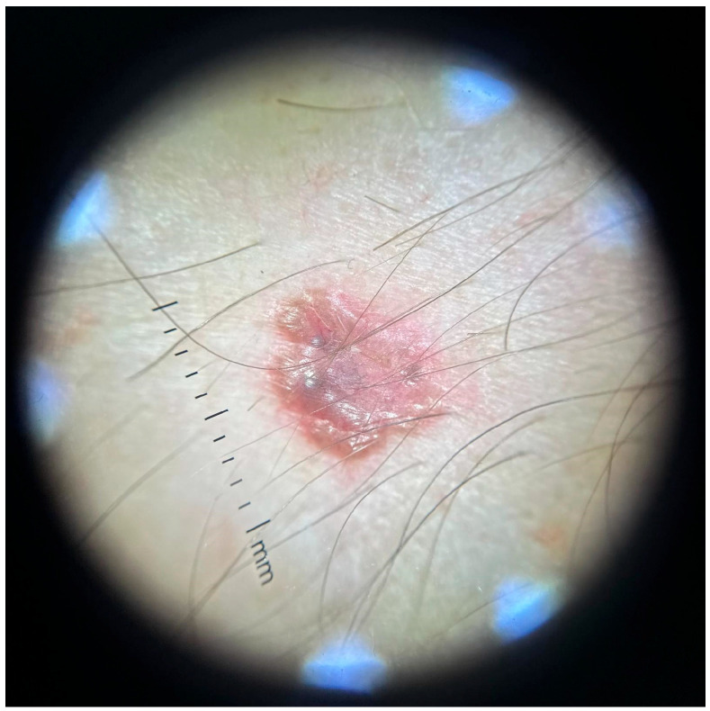 Figure 7