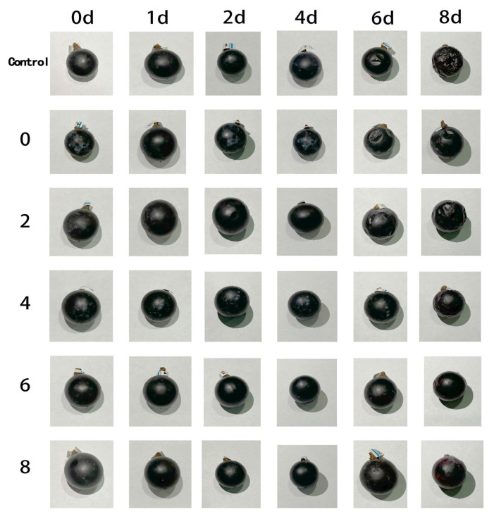 Figure 9
