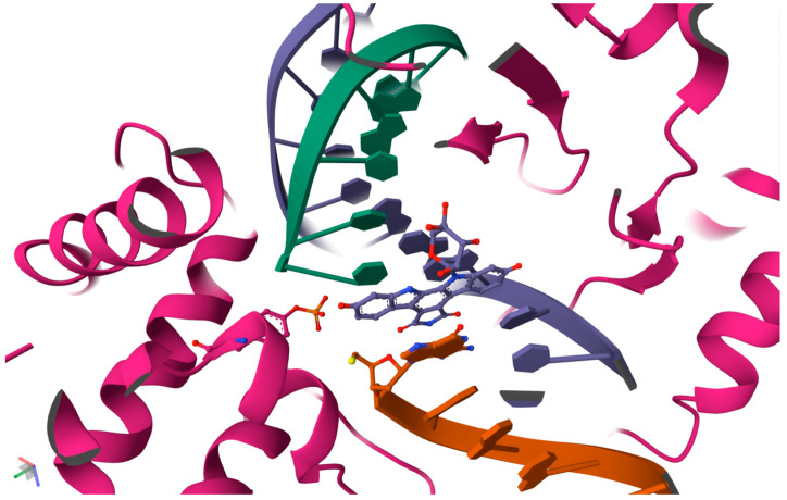 Figure 5