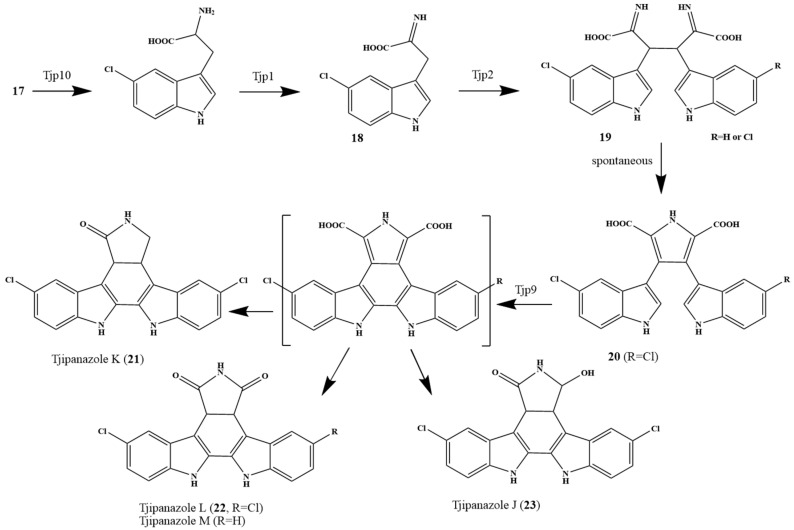 Figure 15