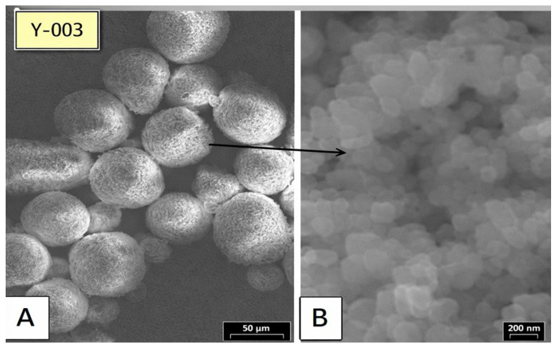 Figure 17