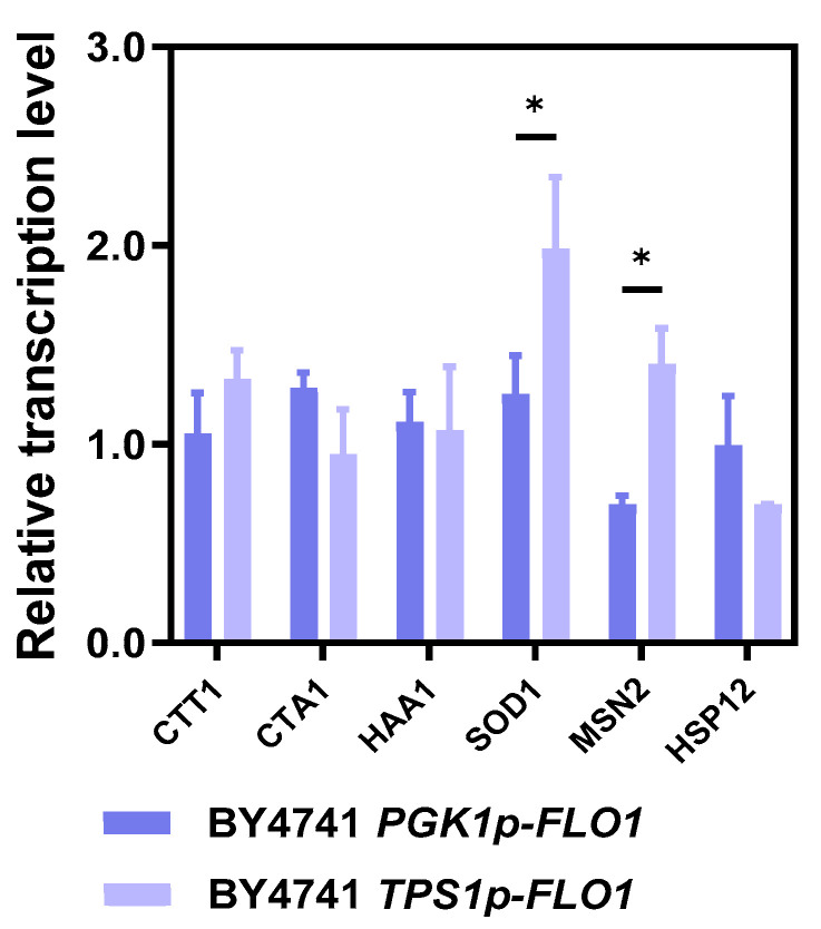 Figure 5