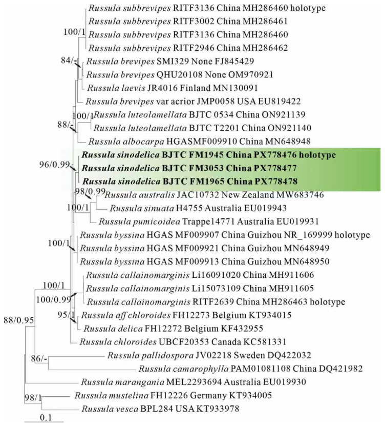 Figure 1