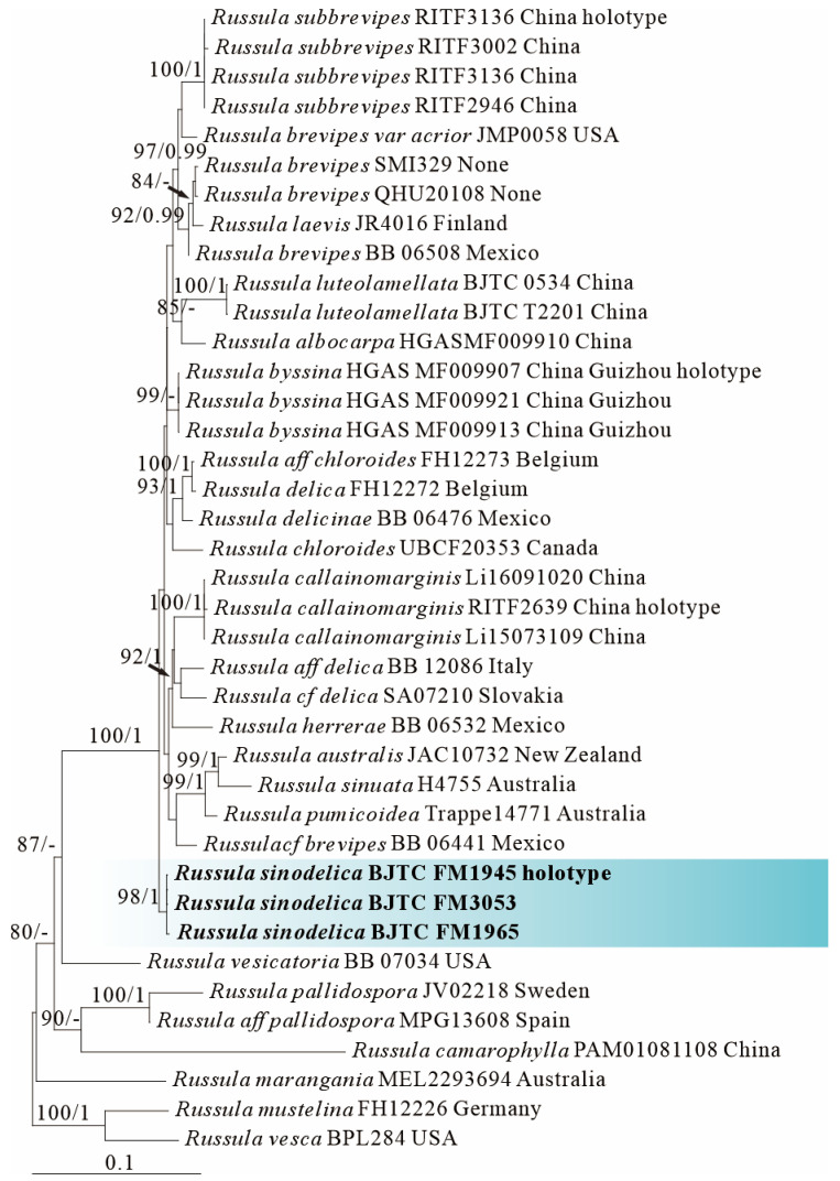 Figure 2