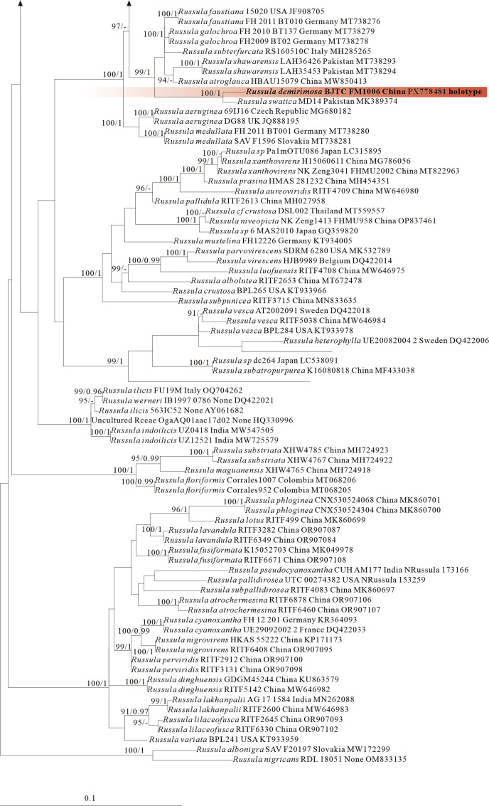Figure 4