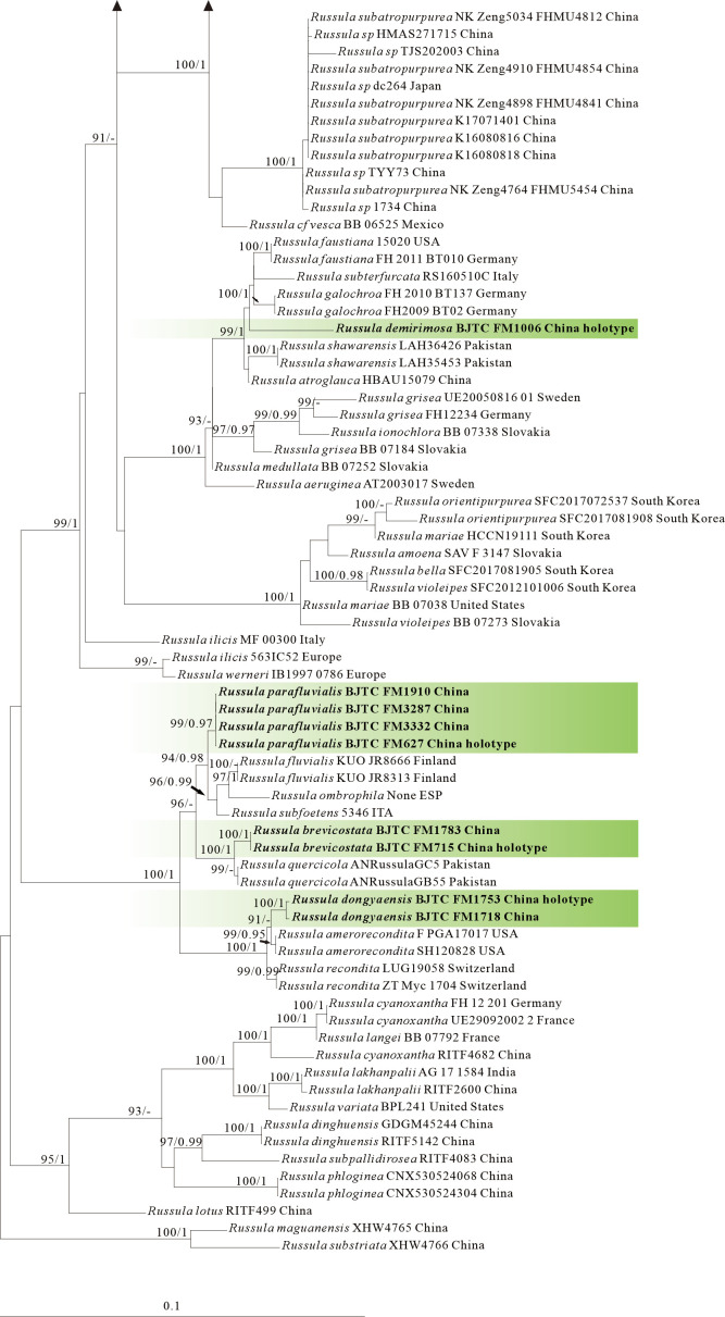 Figure 6