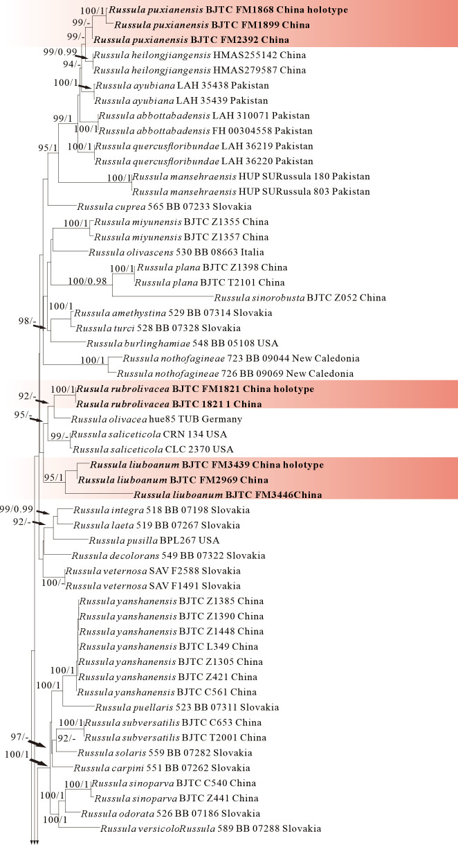 Figure 10