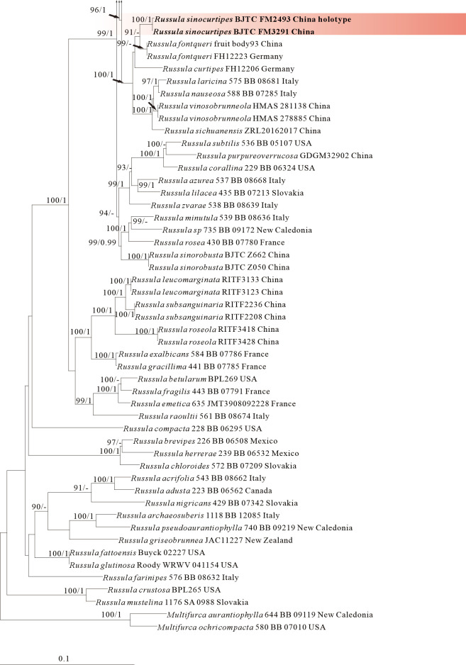 Figure 11