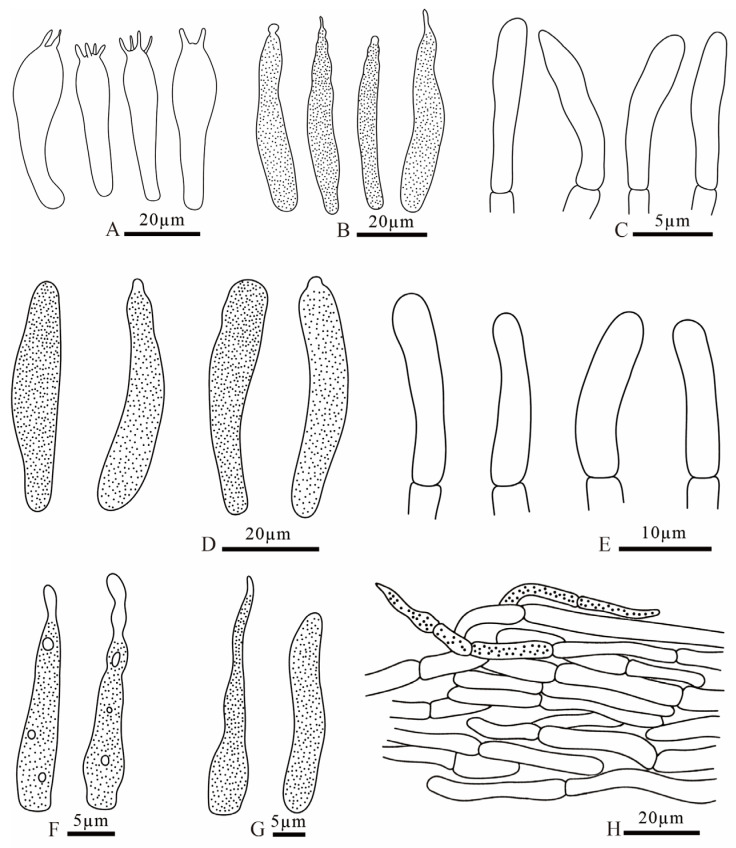 Figure 14