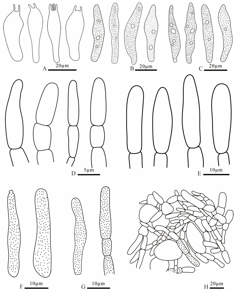 Figure 15