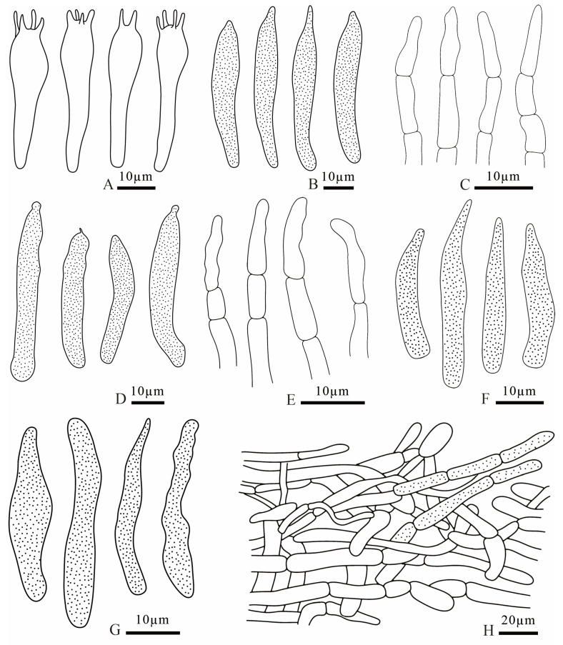 Figure 16