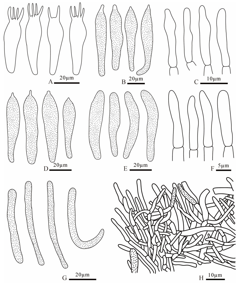 Figure 17