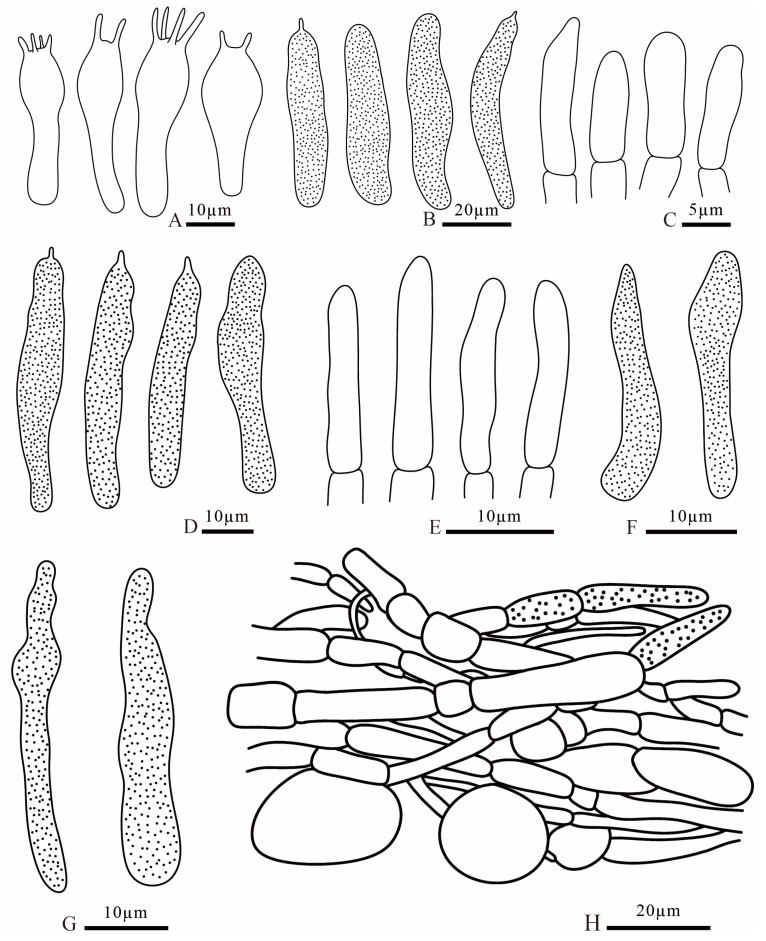 Figure 18