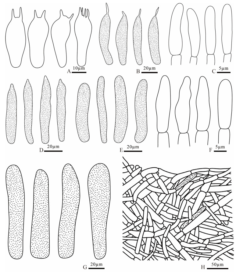 Figure 19