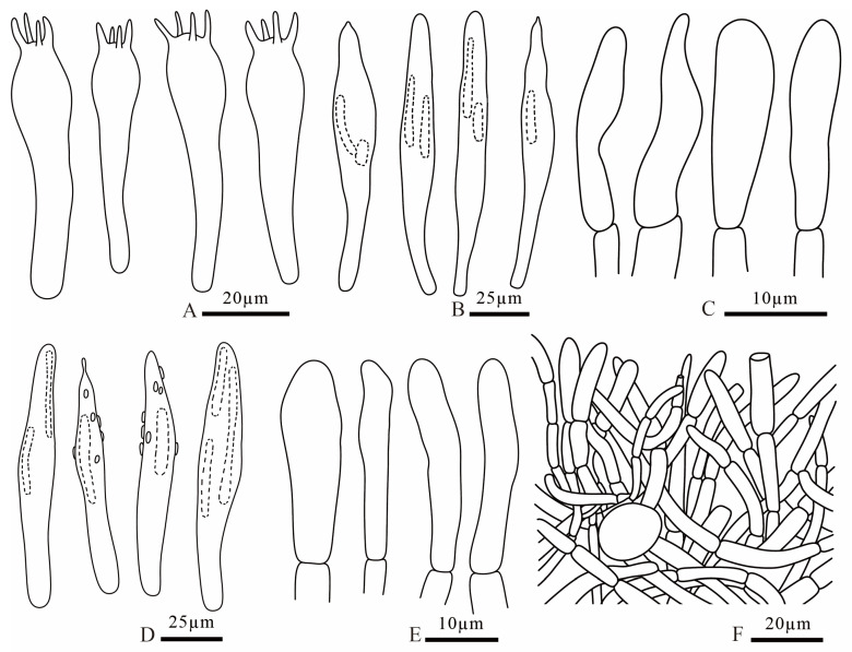 Figure 20