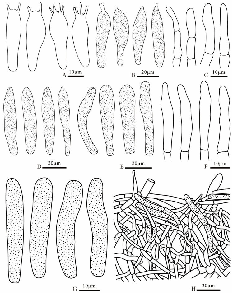 Figure 21