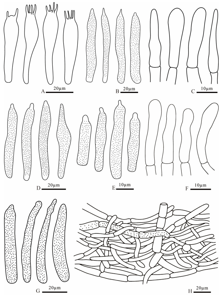 Figure 22