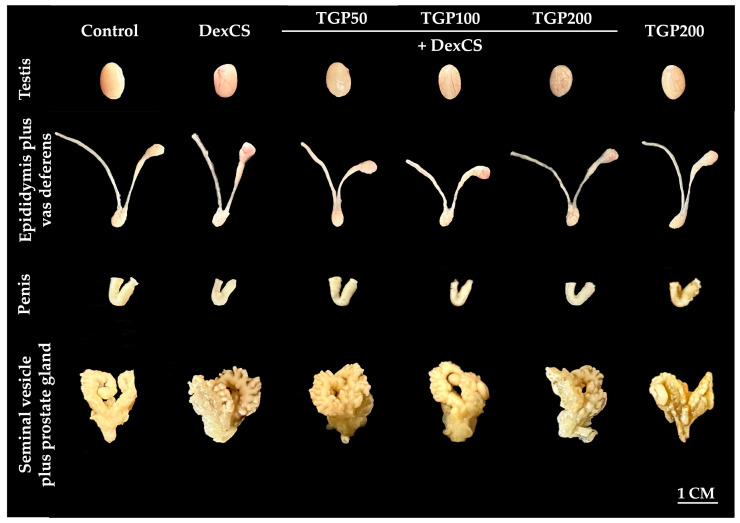 Figure 7