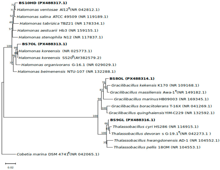 Figure 2
