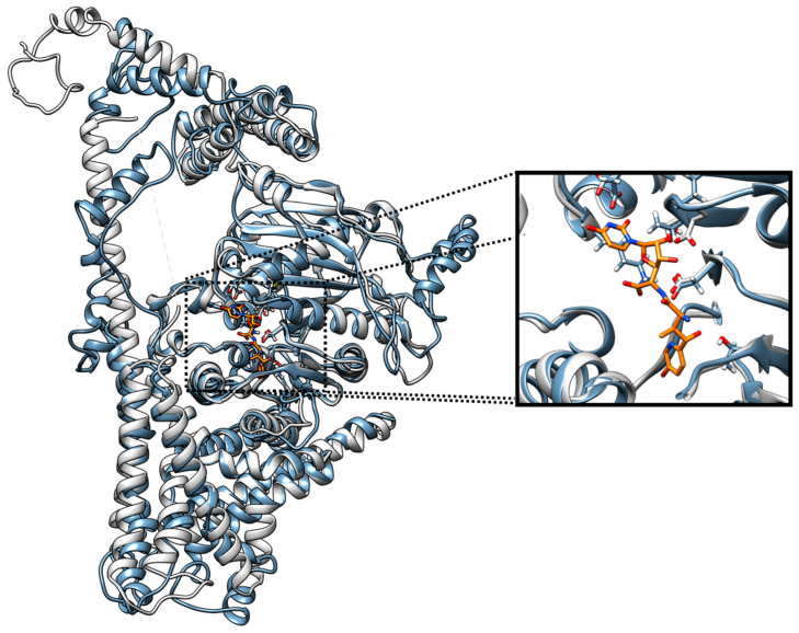 Figure 6