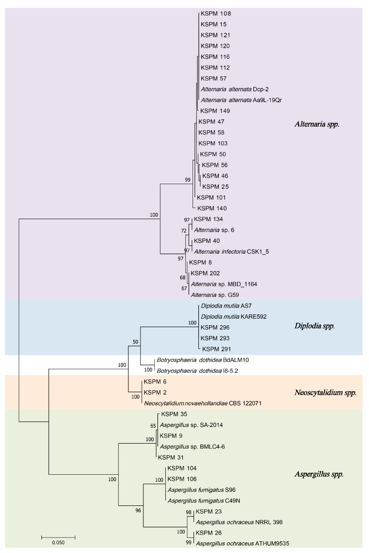 Figure 4