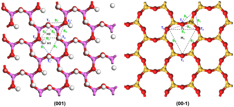 Figure 6