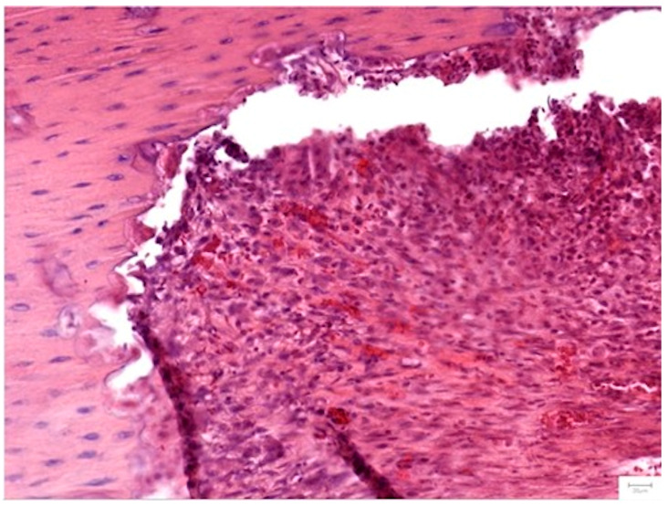 Figure 13