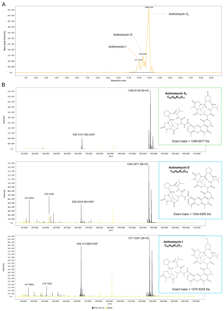 Figure 7