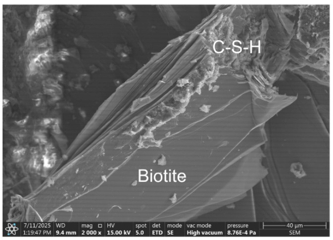 Figure 9