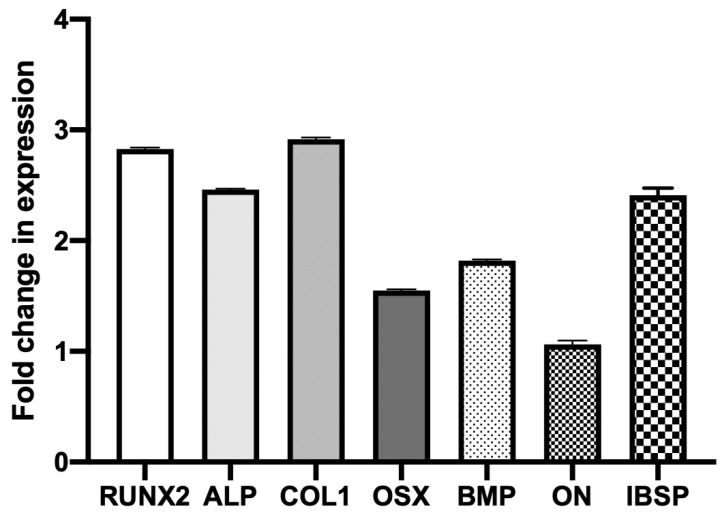 Figure 5
