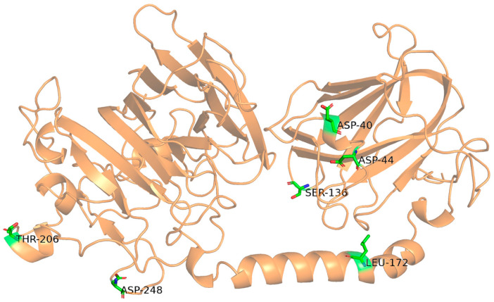 Figure 2