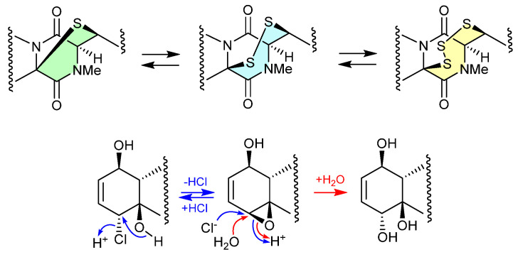 Figure 20