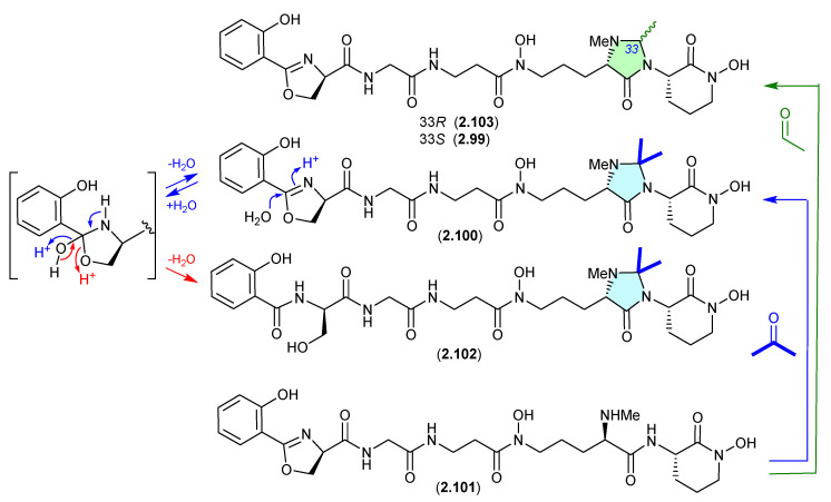 Figure 25