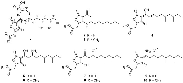 Figure 2