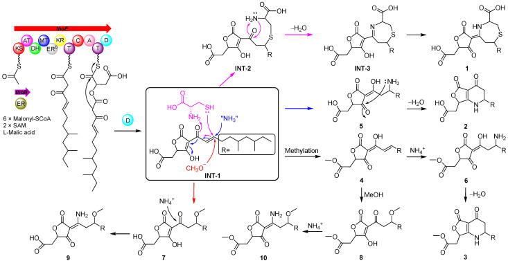 Figure 5