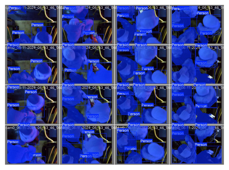 Figure 11