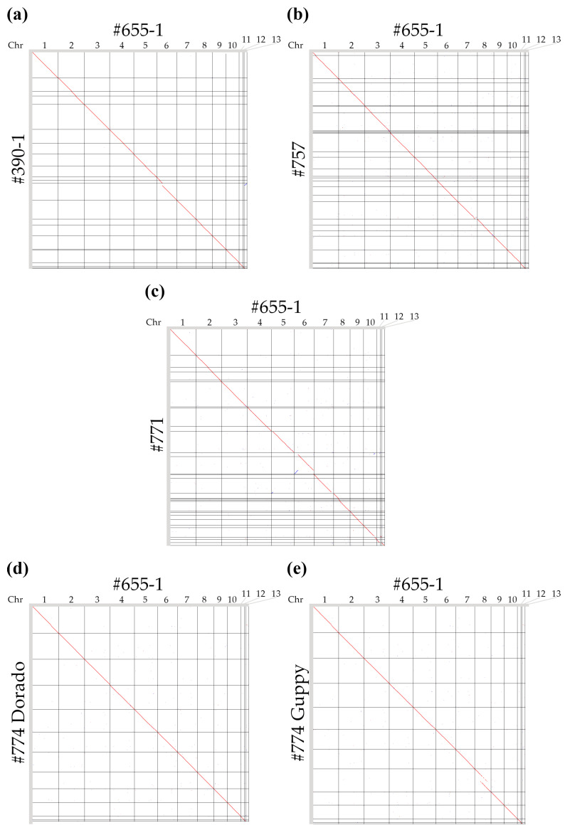Figure 5