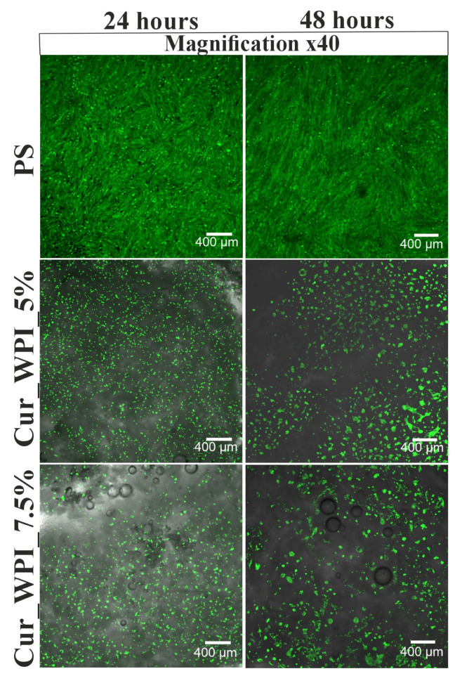 Figure 7