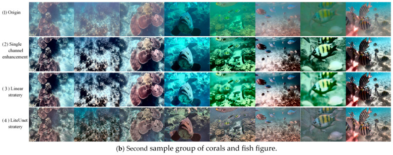 Figure 21