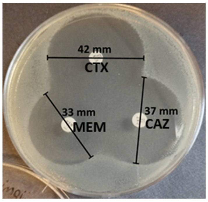 Figure 14
