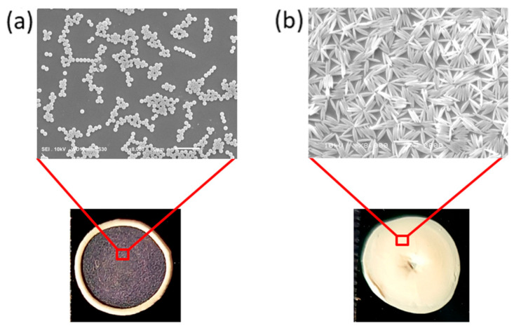 Figure 14