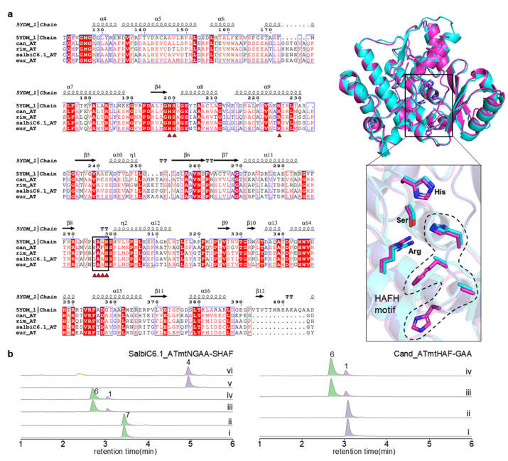 Figure 6