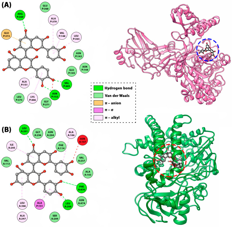 Figure 10
