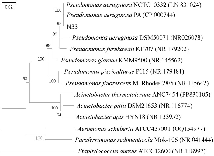 Figure 2