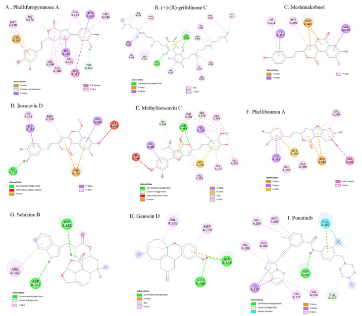 Figure 32