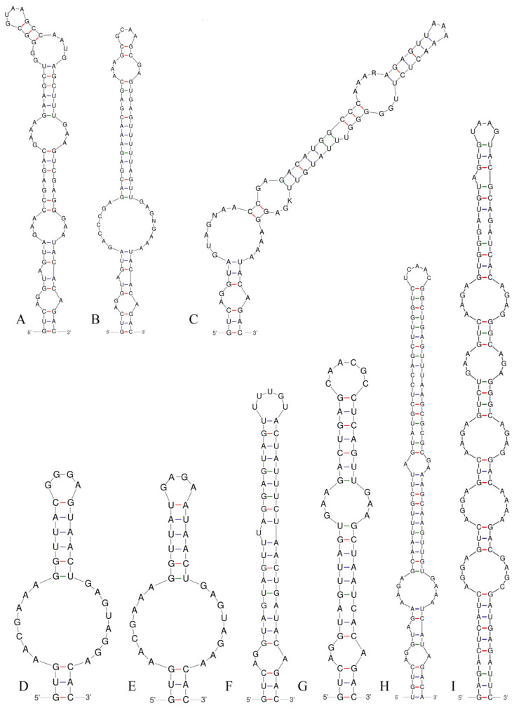 Figure 8