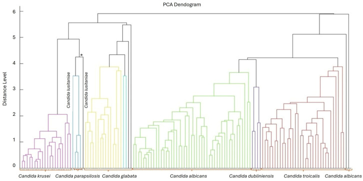 Figure 2