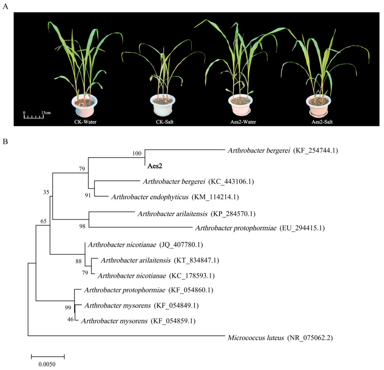 Figure 6